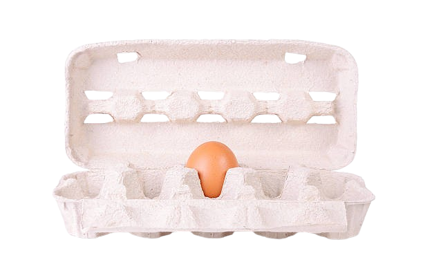 molded-fiber-egg-carton