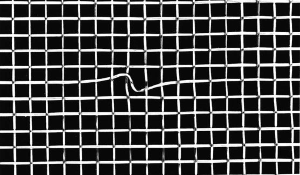 Preventing Chromatography Failure: How to Identify Wire Mesh Damage-featured-image