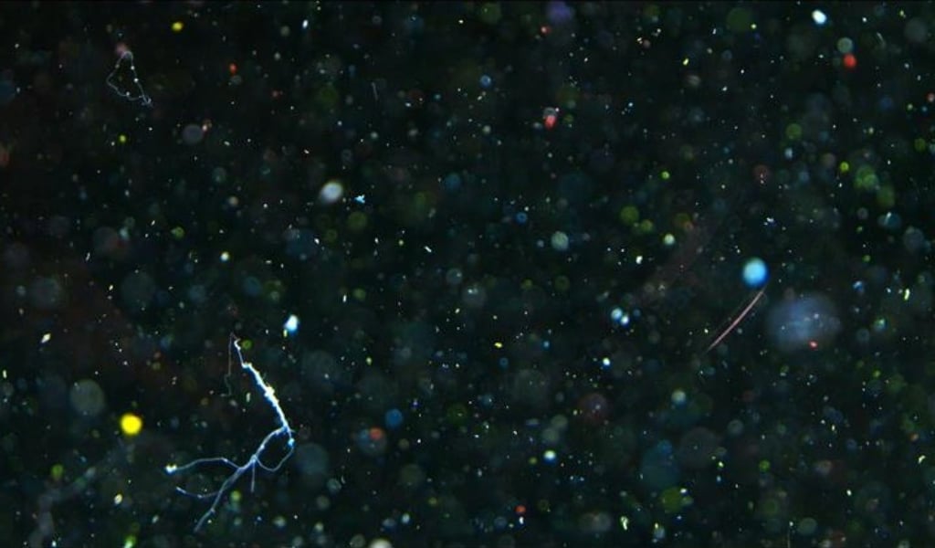 Microplastics at Home: Why Household Filters Make a Difference-featured-image