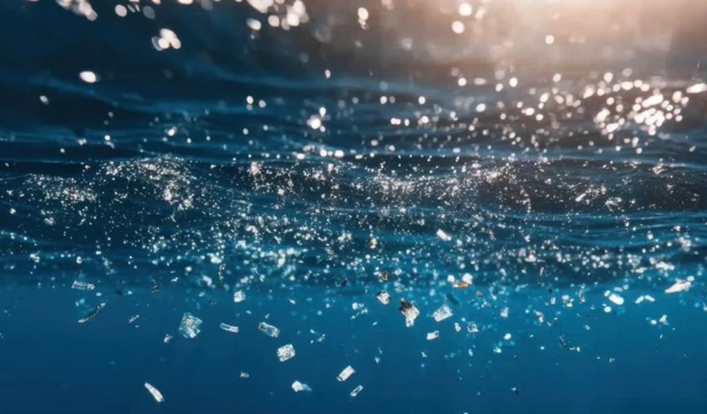 Microplastic Contamination: Health Risks and the Role of Wire Mesh-featured-image