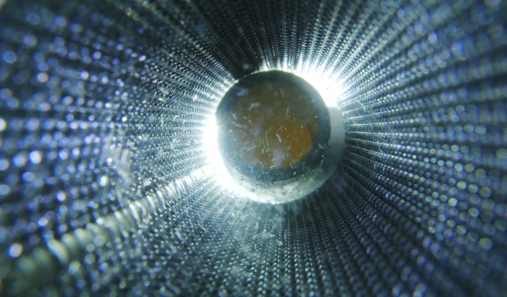 Wire Mesh vs. Wedge Wire: What’s the Best Filter for Desalination?-featured-image